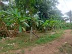 Land for Sale in Weliweriya, Gampaha