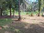 Land for Sale in Weliweriya, Gampaha