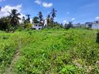 Land for Sale in Wellampitiya