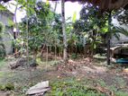 Land for Sale in Wellampitiya