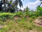 Land for Sale in Wellampitiya