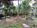 Land for Sale in Wellampitiya