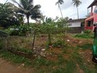Land for Sale in Wellampitiya