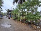 Land for Sale in Wellampitiya