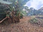 Land for Sale in Wellampitiya