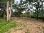 Land for Sale in Wellawa 98 P
