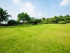 land for sale in Wellawatte