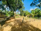 Land for Sale in Wellawaya