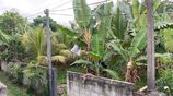 Land for Sale in Welmilla, Bandaragama