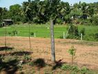 Land for Sale in Weniwelkola, Kahathuduwa