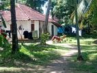 Land for Sale in Wennappuwa