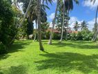 Land for Sale in Wennappuwa Town