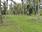 Land for Sale in Wennapuwa