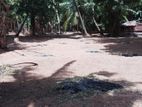Land for Sale in Wennapuwa