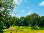 Land for sale in Wennapuwa