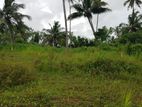 Land for Sale in Wetakeyawa, Gonawila