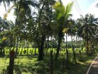 Land for SALE in Wewaldeniya, Gampaha District, Sri Lanka