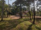 Land for Sale in Weweldeniya