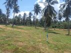 Land for Sale in Weyangoda