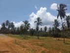 Land for Sale in Weyangoda