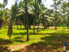 Land for sale in Weyangoda