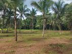 Land for Sale in Weyangoda