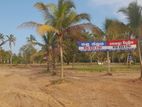 Land for Sale in Wilaththawa