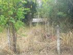 Land for Sale in Wllawaya