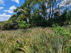 Land for Sale in Yagoda