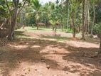 Land for Sale in Yagodamulla, Kotugoda