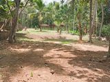 Land for Sale in Yagodamulla, Kotugoda