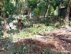Land for Sale in Yakkala 11.7 P