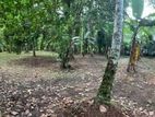 Land for Sale in Yakkala