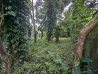 Land for Sale in Yakkala