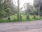 Land for Sale in Yakkala