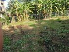 Land For Sale In Yakkala