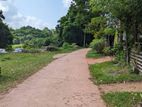 Land for Sale in Yakkala