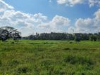 Land for Sale in Yakkala