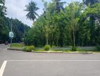 Land For Sale In Yakkala