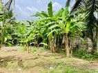 Land for Sale in Yakkala