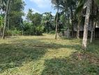 Land for Sale in Yakkala