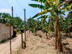 Land for Sale in Yakkala