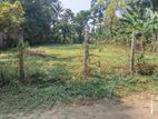 Land for Sale in Yakkala