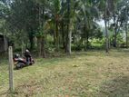 Land for sale in Yakkala