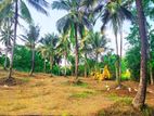 Land for Sale in Yakkala
