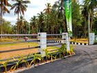 Land for Sale in Yakkala | Gampaha