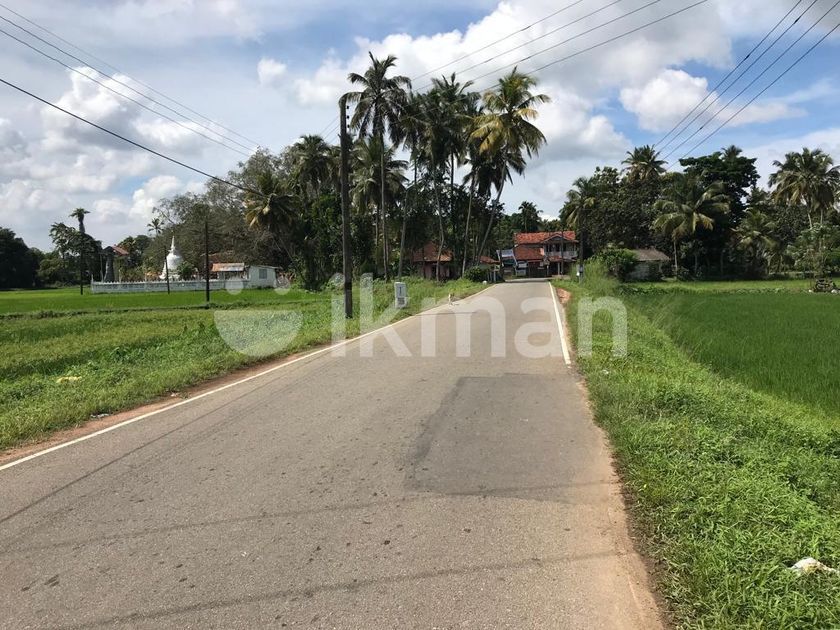 Land for Sale in Yakkala, Gampaha ikman