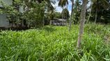 Land for Sale in Yakkala Nelligahamula