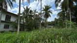 Land for Sale in Yakkala Nelligahamula