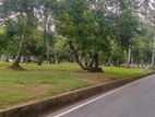 Land for sale In yakkala town